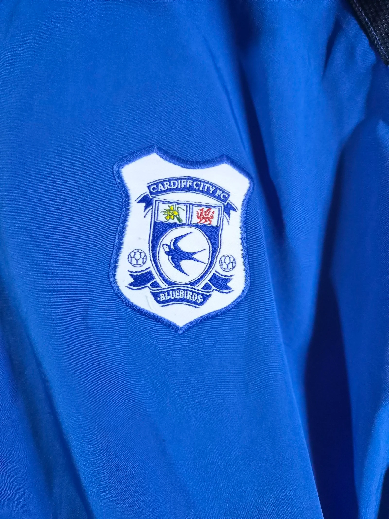 Cardiff stad – photo 5